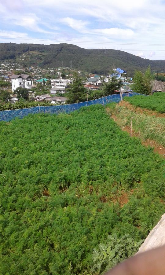 努沃勒埃利耶 Rainyfreindz酒店 外观 照片