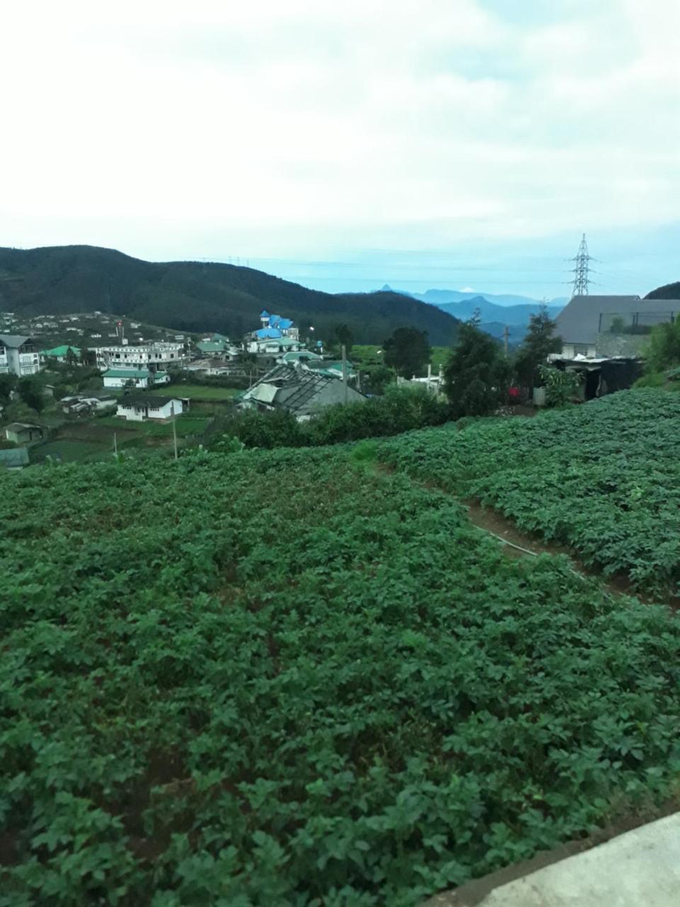 努沃勒埃利耶 Rainyfreindz酒店 外观 照片
